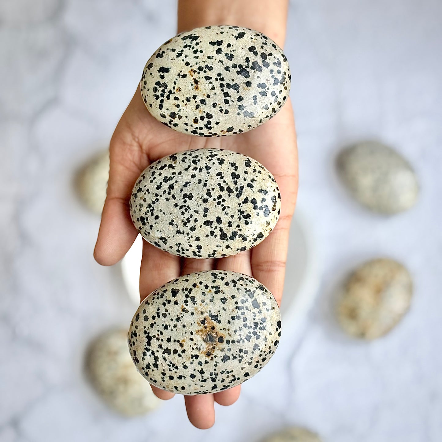 Dalmatian Jasper Palm Stone