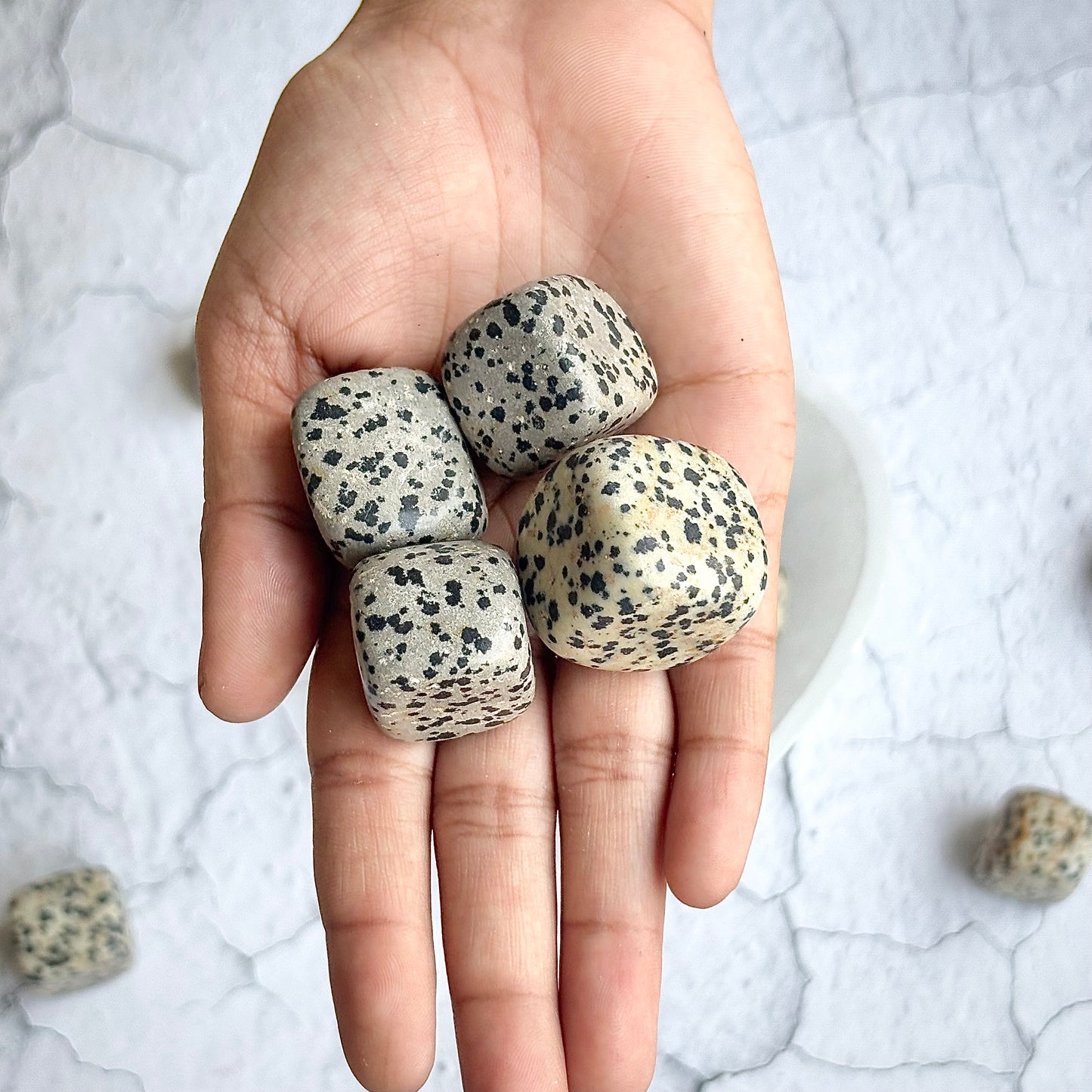 Dalmatian Jasper Tumble Stone