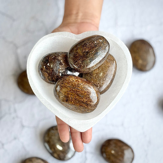 Bronzite Palm Stone