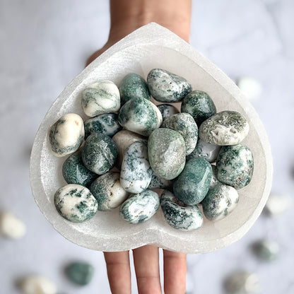 Tree Agate Tumble Stone