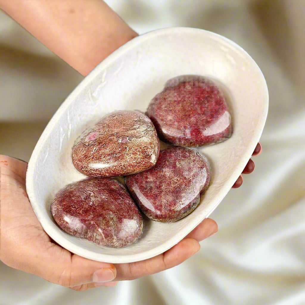 Person holding a white dish with brown stones on a light gray background