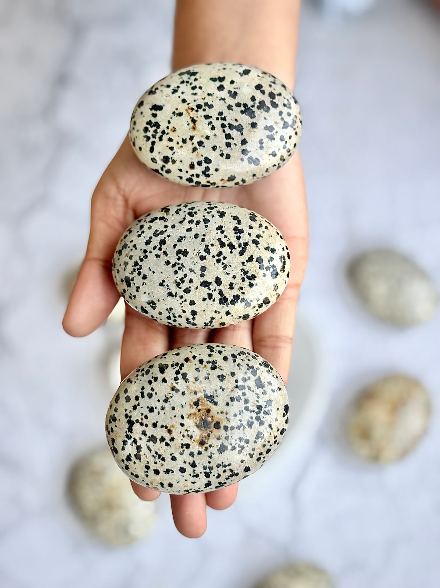 Dalmatian Jasper Palm Stone