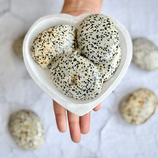 Dalmatian Jasper Palm Stone