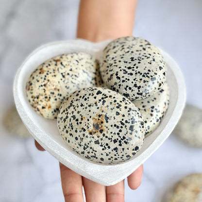 Dalmatian Jasper Palm Stone