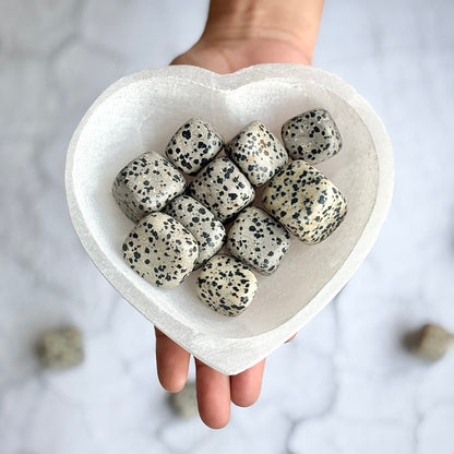 Dalmatian Jasper Tumble Stone