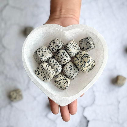 Dalmatian Jasper Tumble Stone