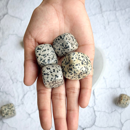 Dalmatian Jasper Tumble Stone