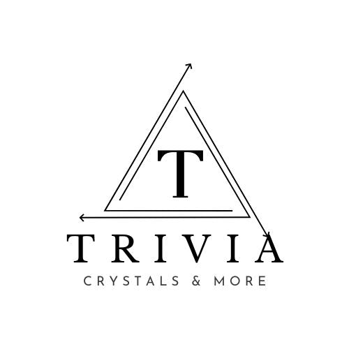 The Trivia Store